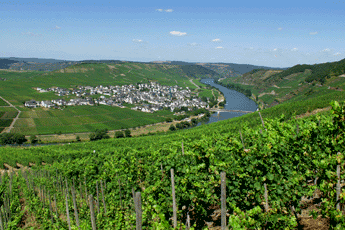 Trittenheim