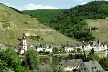 Zell
